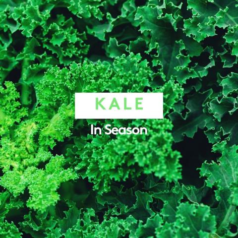 kale 1